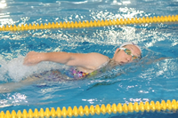 �i�C�g�N���X