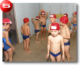 �V�����[