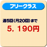 �t���[�N���X